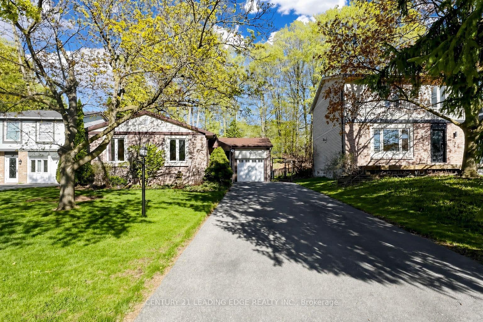 323 Waratah